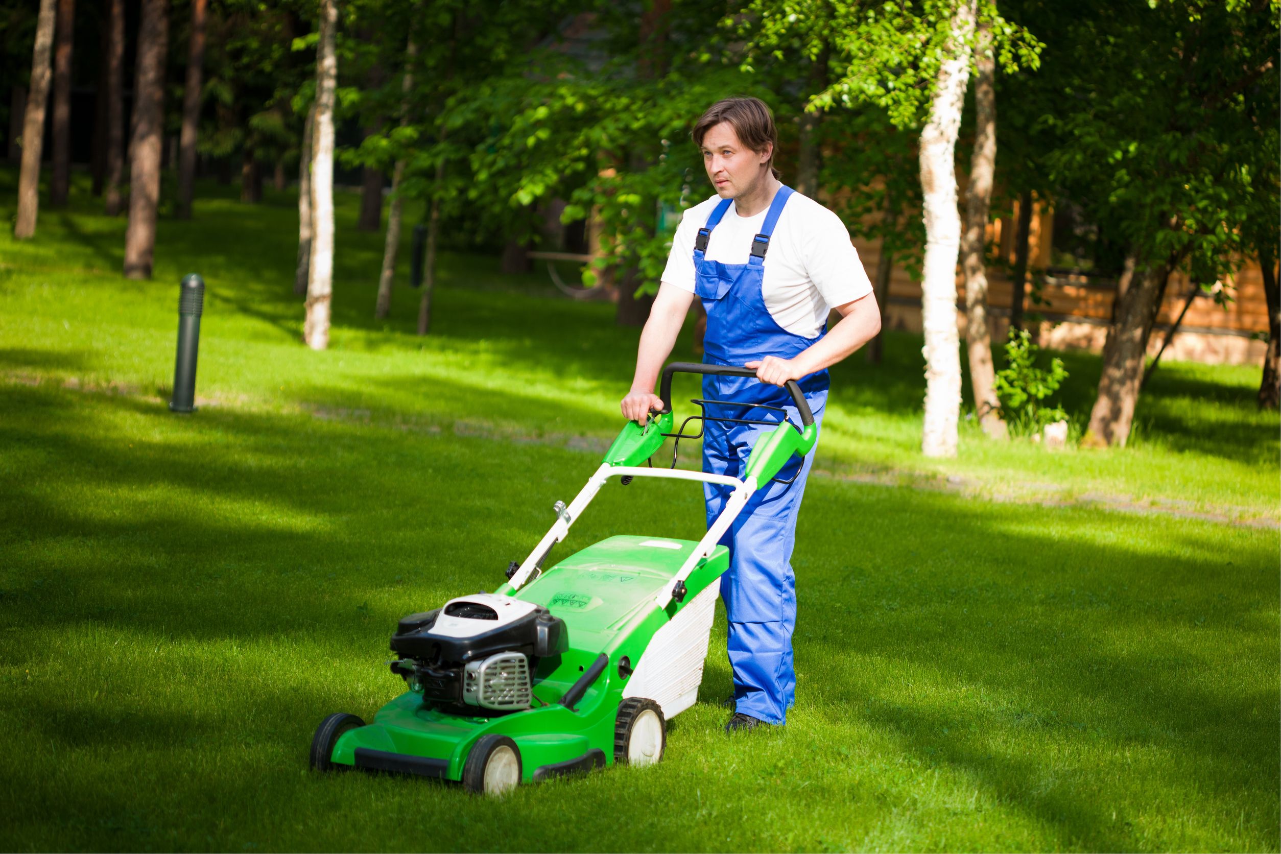 Uncover Exceptional Lawn Care Near Walla Walla, WA, for Stunning, Lasting Results