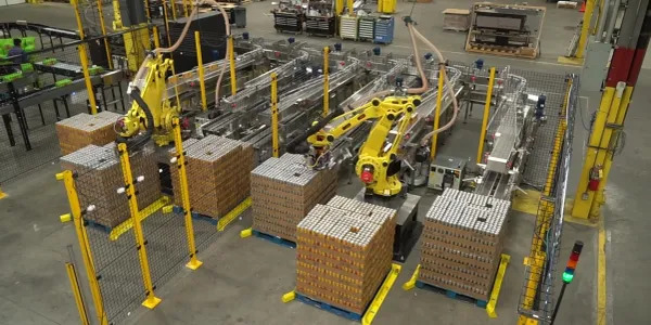 Why You Need to Hire a Professional Robotic Palletizer Manufacturer