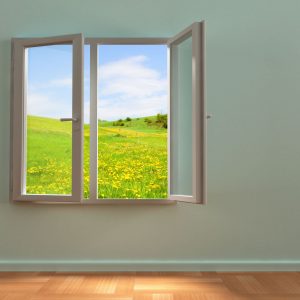 How to Tell If You Need Window Replacement in Orland Park IL