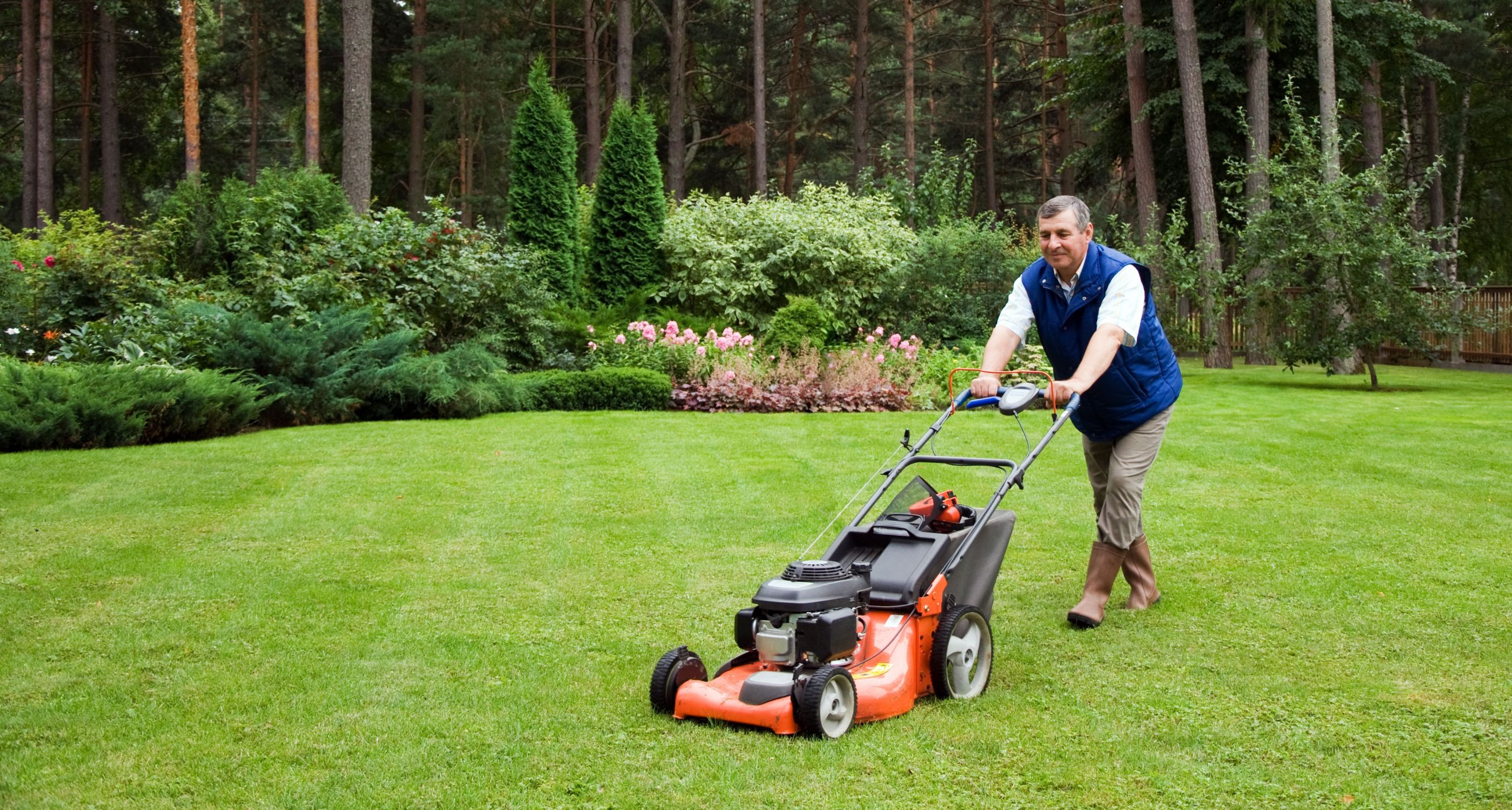 Hire Professionals to Help with Lawn Maintenance in Durham