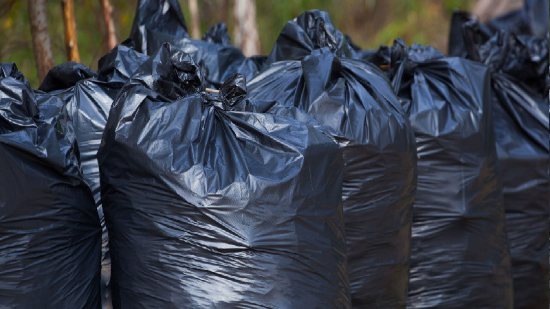 Contact a Company That Offers Curbside Garbage Pickup in McDonough, GA, At Reasonable Prices