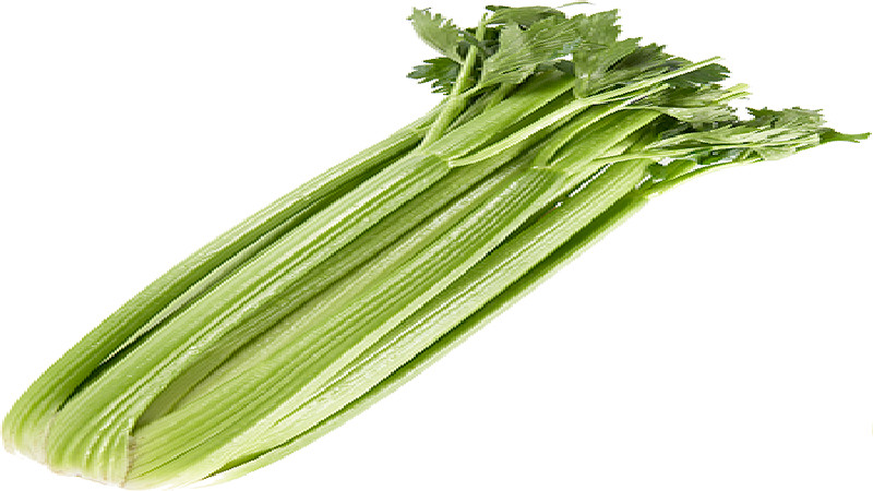 The Hidden Secrets of Storing Celery