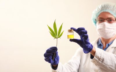 An Insight into How to Get a Medical Marijuana Card