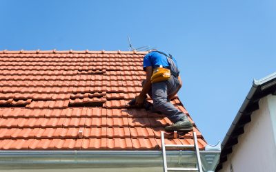 Roofer in Ann Arbor, MI: Expert Services For Your Home’s Protection