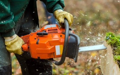 Safety Protocols for Tree Trimming Around Electrical Lines in Omaha, NE