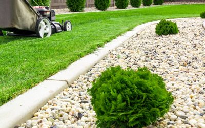 Enhance Your Outdoor Space with Olympia Lawn Care