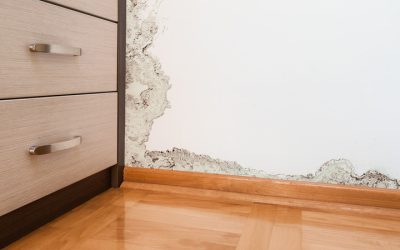 Reclaim Your Space With Professional Flood Damage Clean Up In Carmel, IN