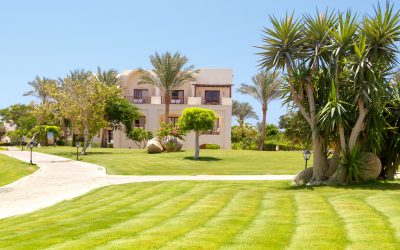 Get the best results for your landscape with a landscaping contractor in Fresno, CA